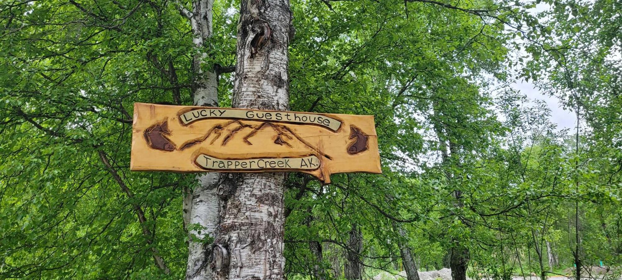 Lucky Guesthouse Trapper Creek Esterno foto